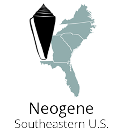 Logo for the Neogene Atlas of Ancient Life Fossils Paleontology