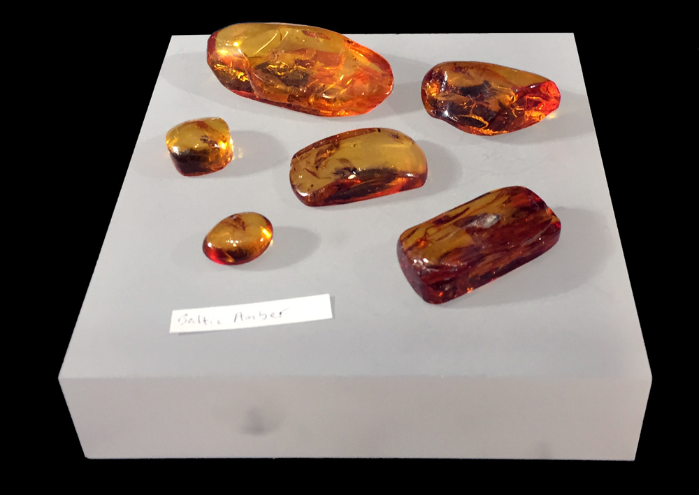Baltic amber on display in Snell Hall, Cornell University.
