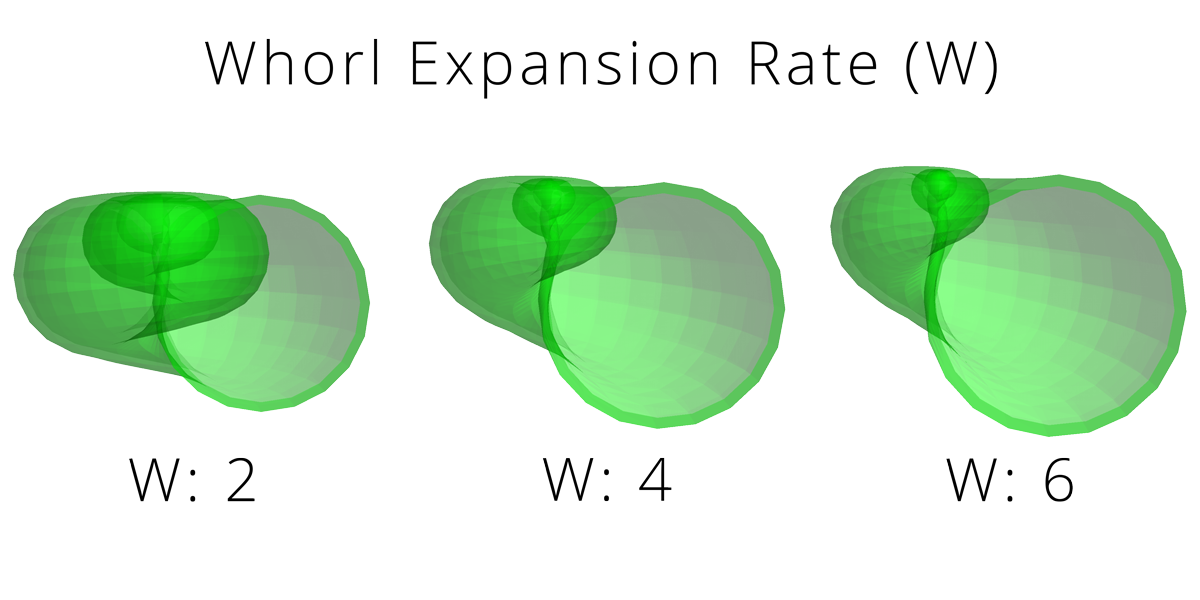 Image illustrating Raup's parameter W, rate of whorl expansion.