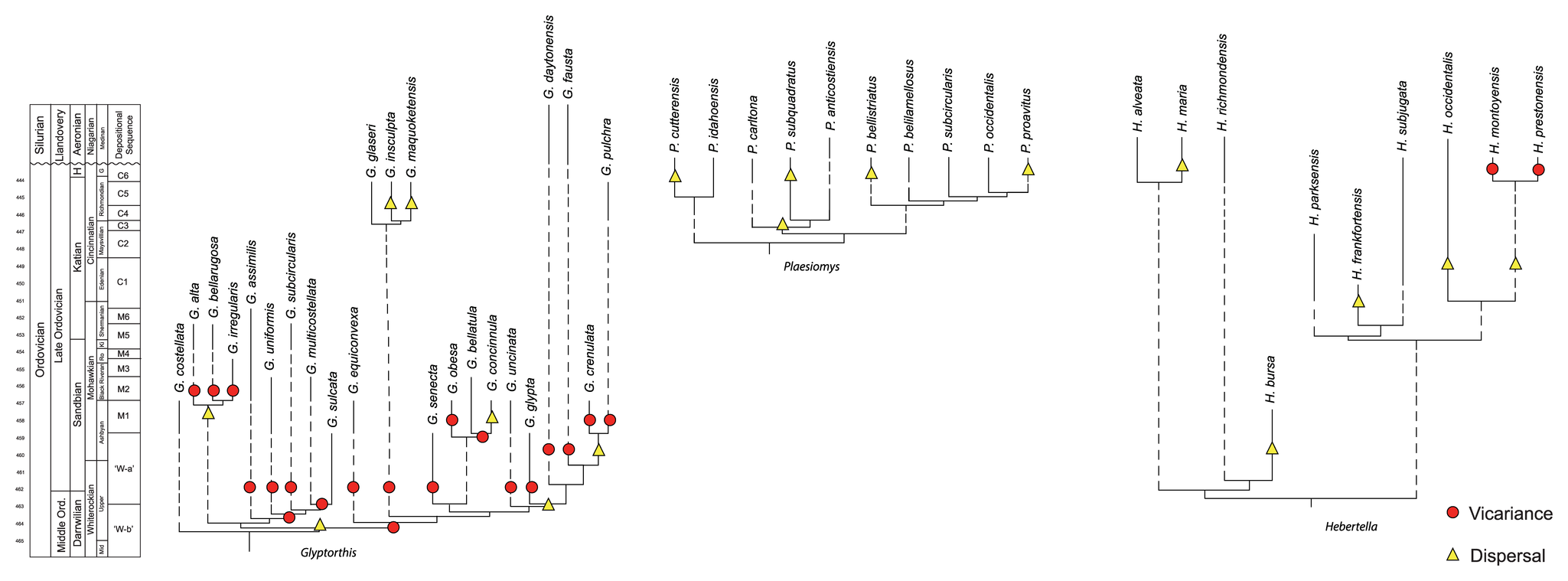 Image shows examples of cladograms scaled to time and including extinct taxa as terminals. 