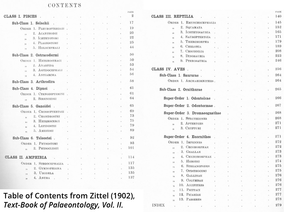 Table of contents from a 1902 paleontology textbook. Contents show reptiles as a class distinct from birds.