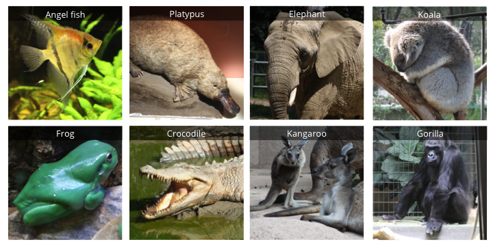 Additional taxa
