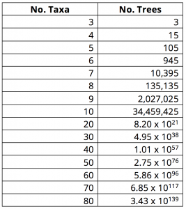 relationship between number of taxa and number of trees