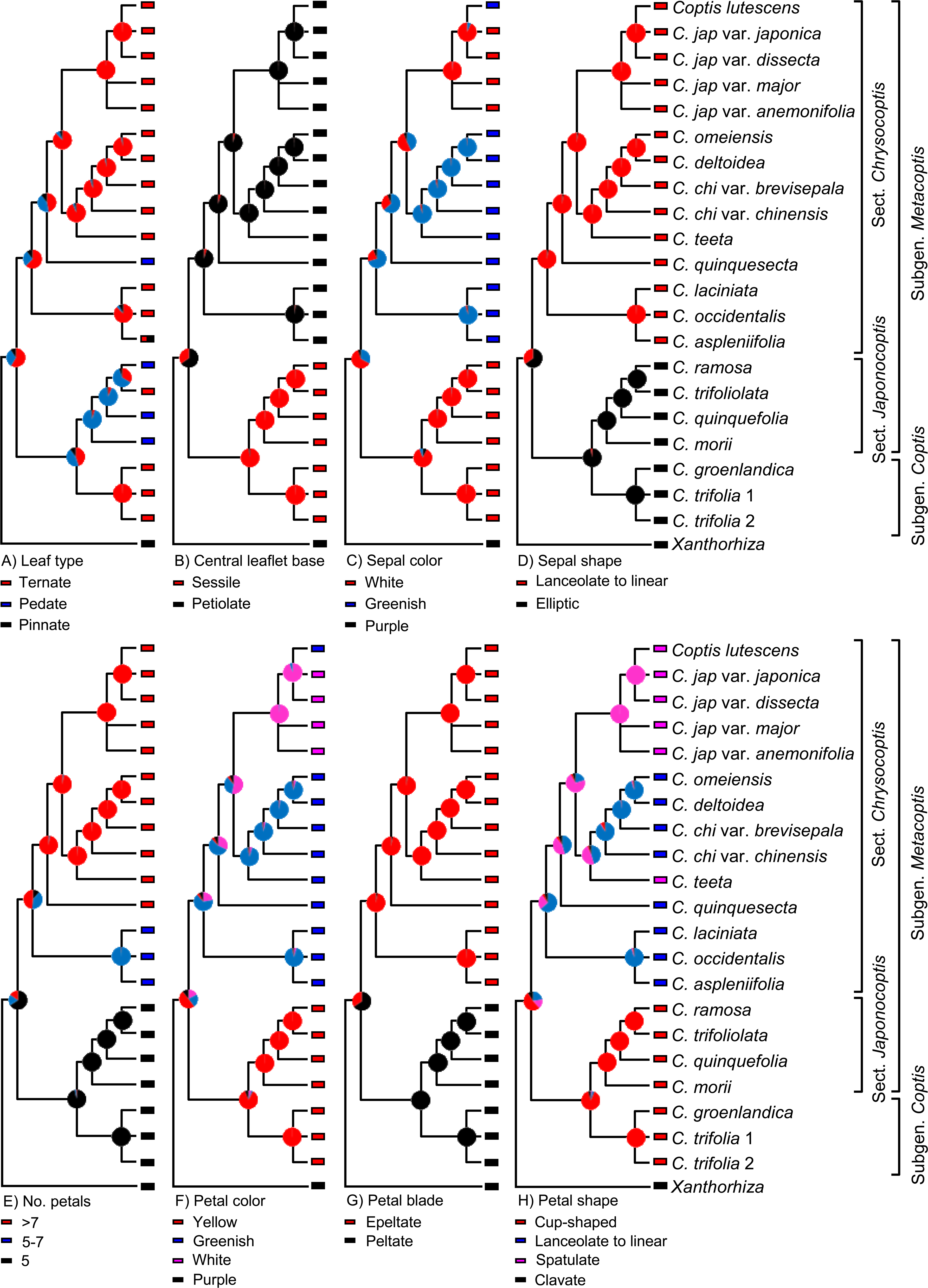 Image shows a variety of phylogenetic trees that show the distributions of different character states.