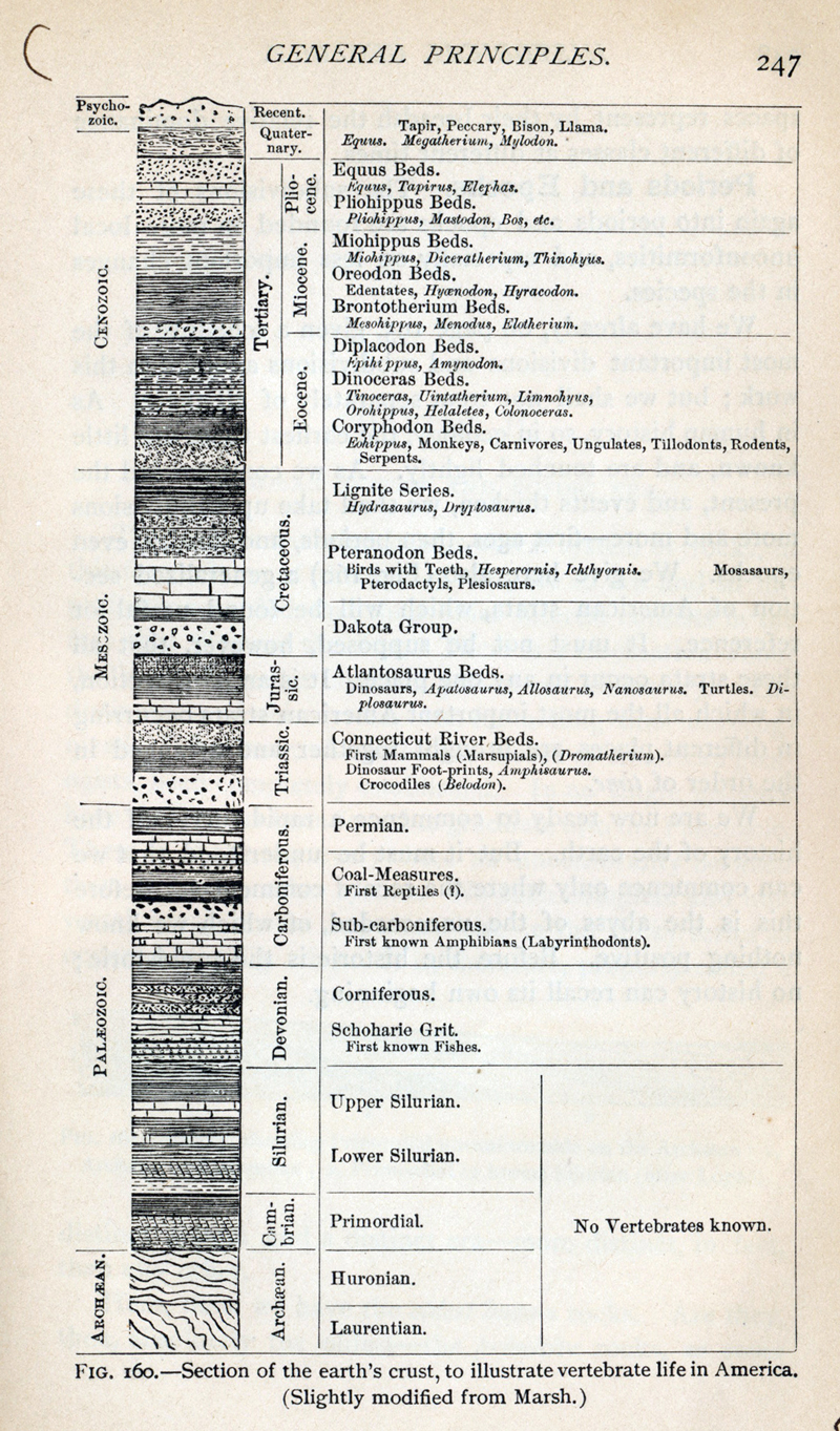 Geological time scale from Le Conte (1885)