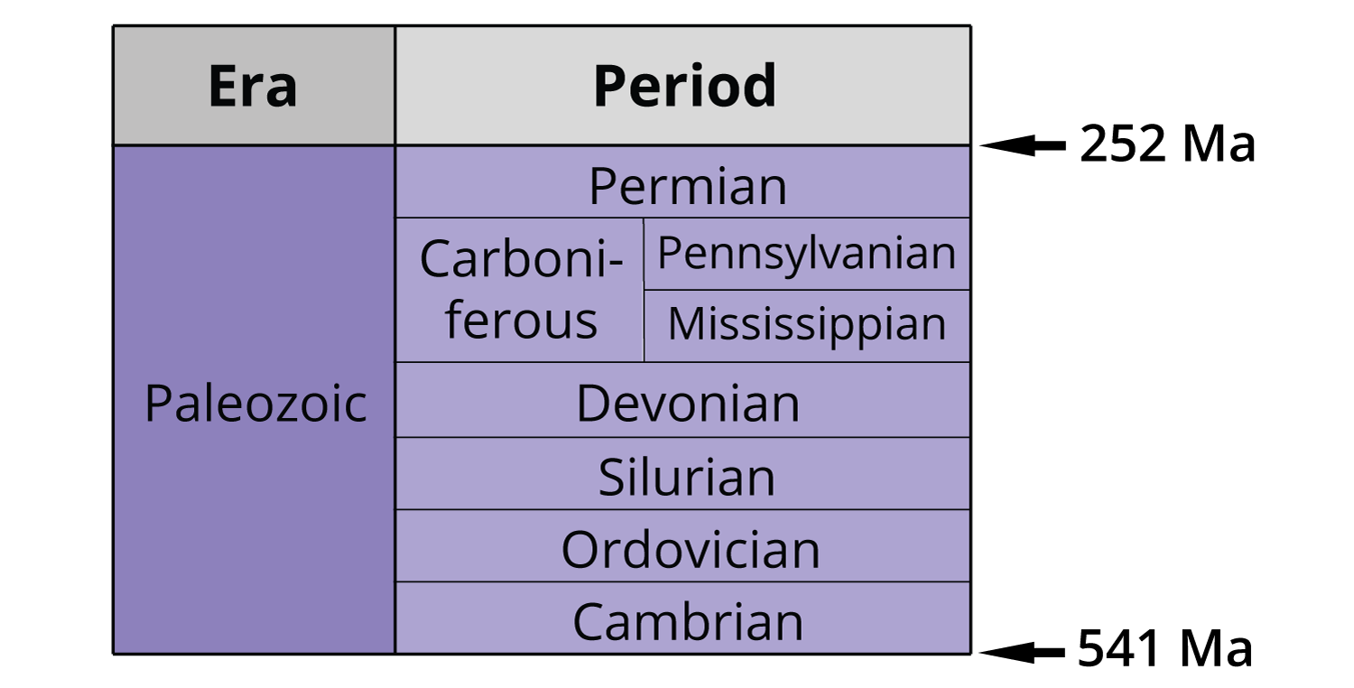 Periods of the Paleozoic era: Cambrian, Ordovician, Silurian, Devonian, Mississippian, Pennsylvanian, Permian
