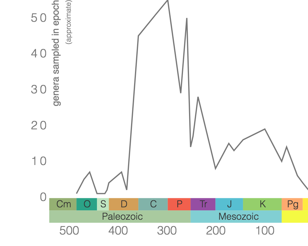 Phanerozoic genus-level diversity of "Nautiloidea" (graph generated using the Paleobiology Database Navigator).