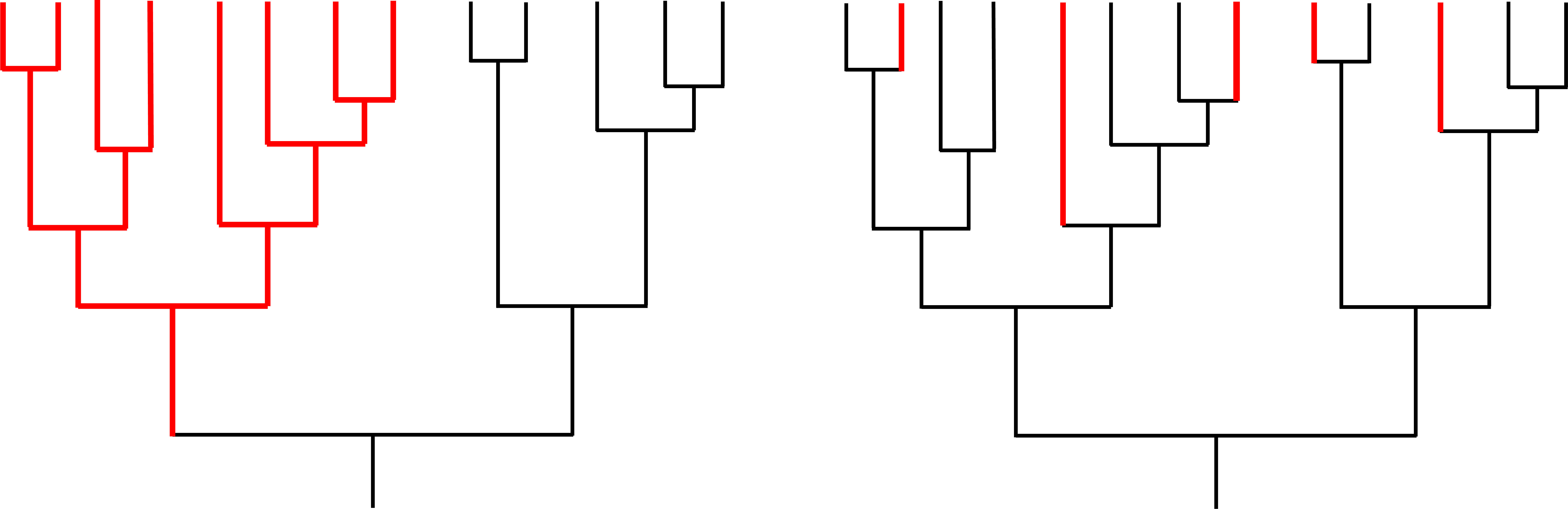 Two hypothetical examples of diversification in a group of closely related species. Black indicates presence of the ancestral condition (e.g., planktotrophic development); red indicates presence of a derived condition (e.g., nonplanktotrophic development). In the example on the left, the origin of the derived condition has caused an increased rate of speciation within a single clade, providing evidence for species selection. In the example on the right, the derived condition has originated multiple times, but there is no evidence that the origin of the trait has increased the speciation rate; therefore, there is not any evidence for species selection. Image based in part on fig. 1 in Duda and Palumbi (1999).