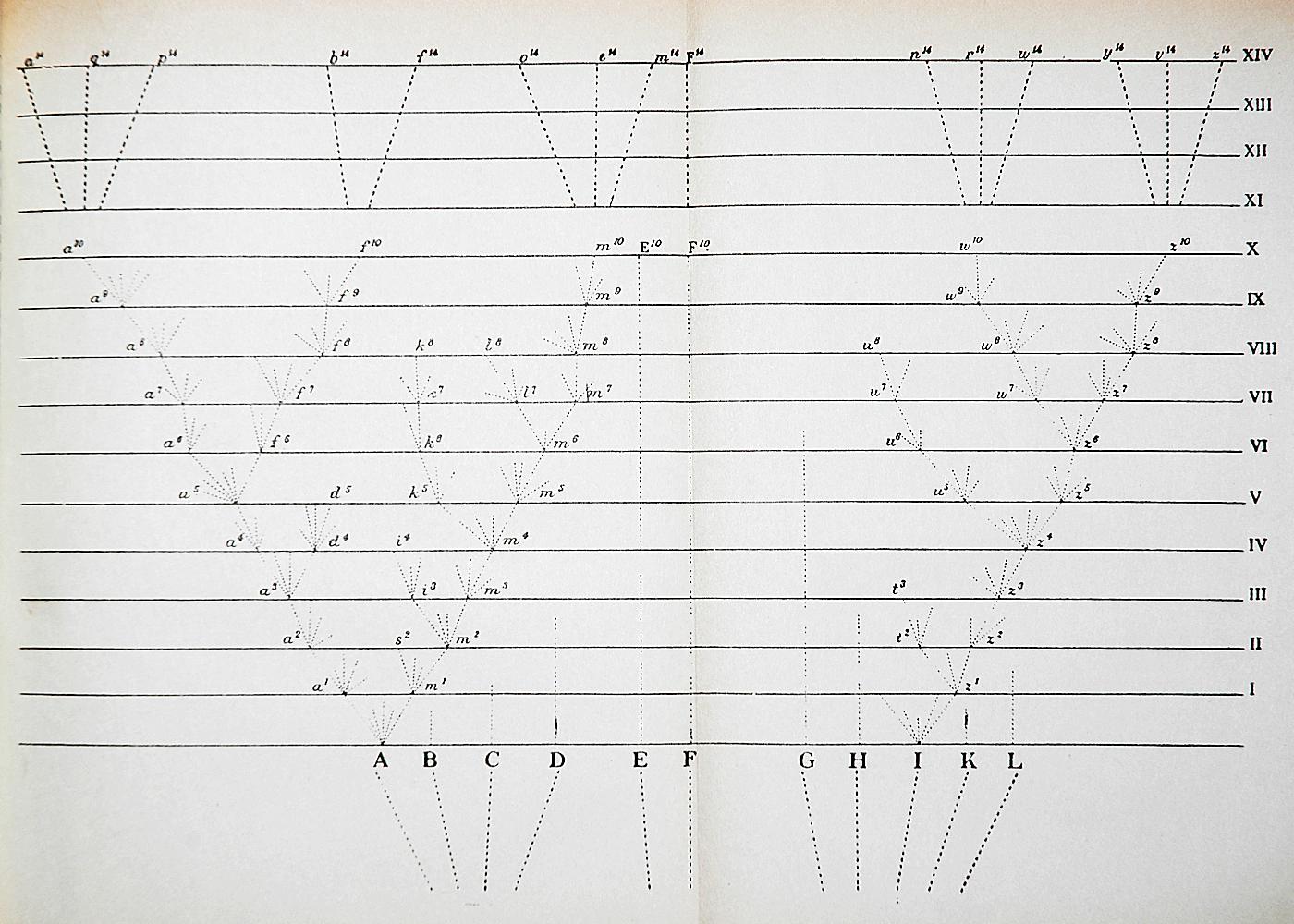 The only figure from Darwin's (1859) work On the Origin of Species. The original caption simply states, "Diagram of divergence of taxa"