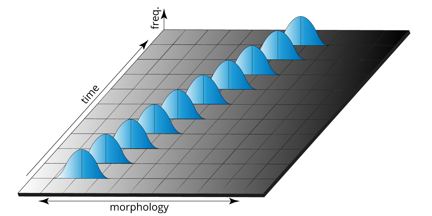 Gradual evolutionary change in a feature over time. The bell curves represent natural variation in that feature during any one particular time interval. 