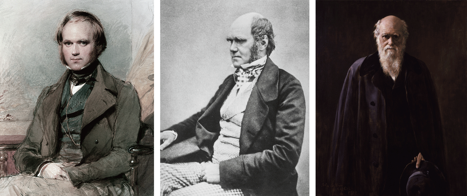 Charles Darwin during different stages of his life. Left: portrait of Darwin as a young man in the late 1830's (by George Richmond). Middle: photograph of Darwin in middle age (likely 1854). Right: portrait of Darwin in old age (by John Collier; 1881).