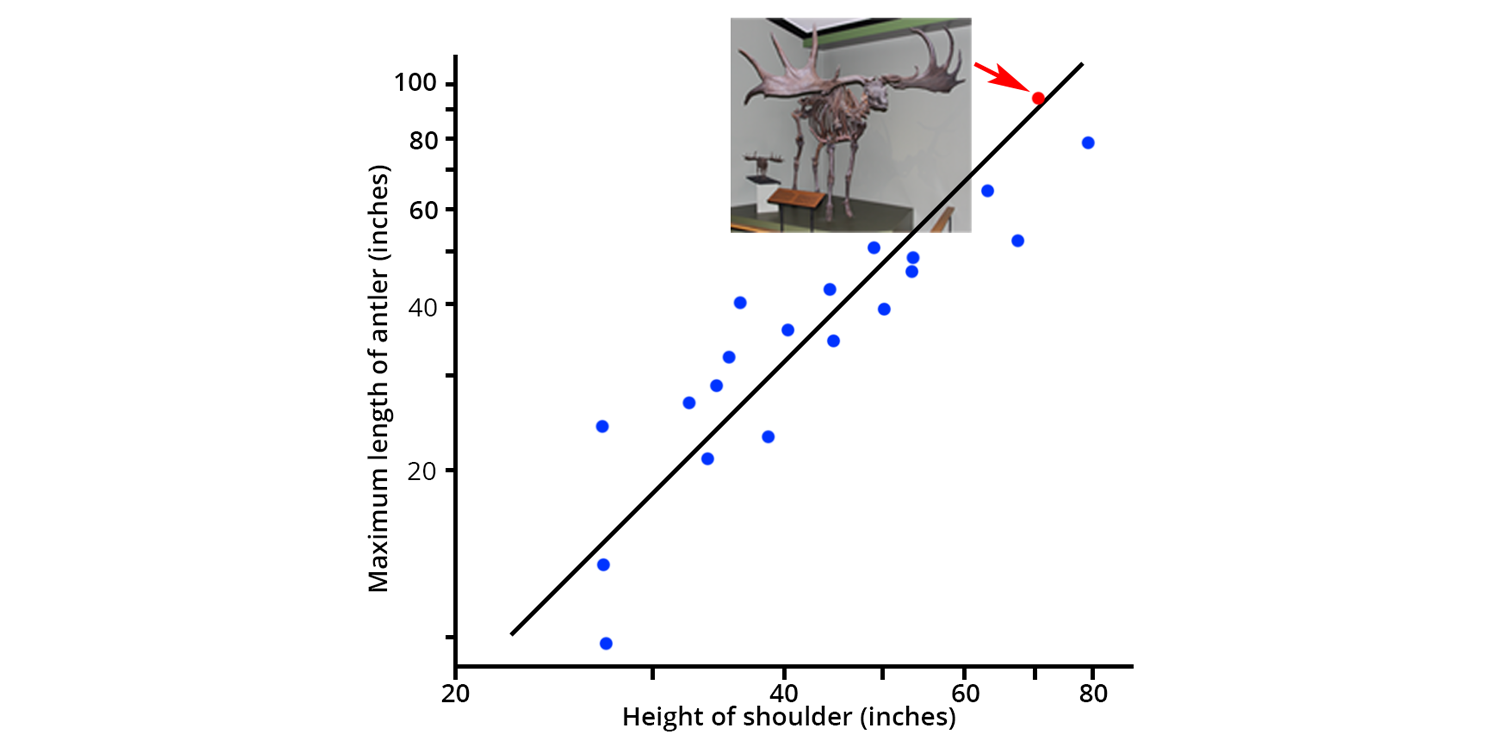 Plot showing the strong correlation between body size and antler size in modern deer and the Irish Elk.