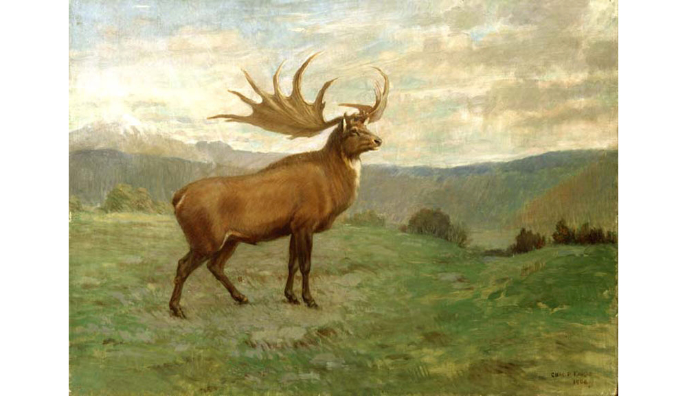 Painting of an Irish Elk by Charles Knight.