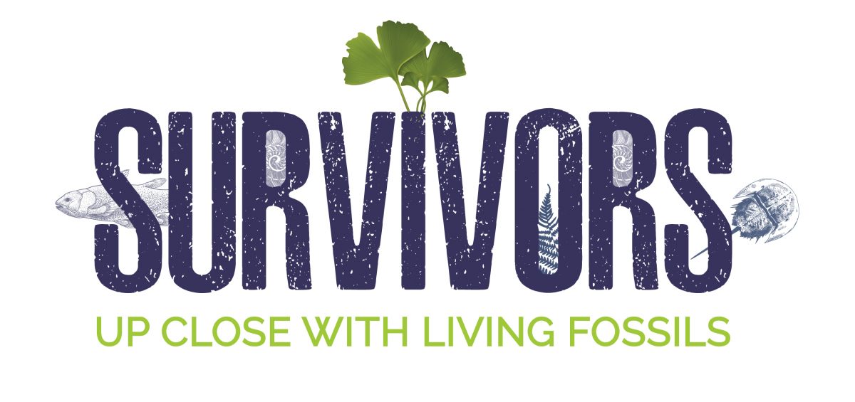 Logo for Living Fossils exhibit