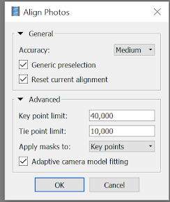 Screenshot of the align photos window, showing various options.