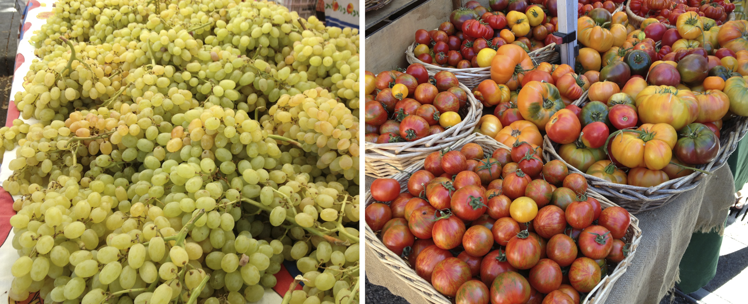 2-Panel figure. Panel 1: Bunches of table grapes. Panel 2: Tomato fruits.