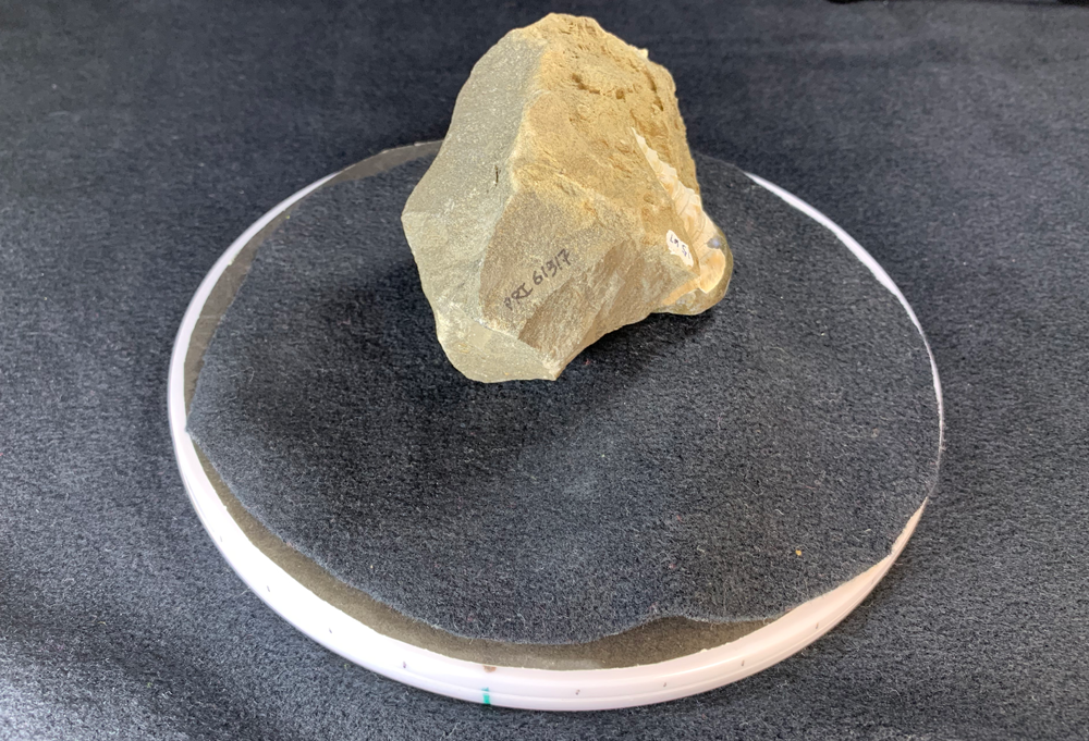 Photograph of a fossil specimen resting on a black cloth that sits upon a lazy susan marked with 10 degree markings.