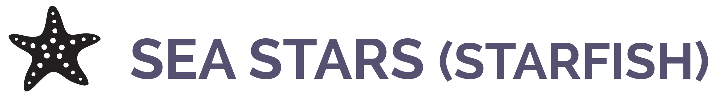 Image shows the words "Sea Stars (Starfish)" and shows a cartoon of a sea star.