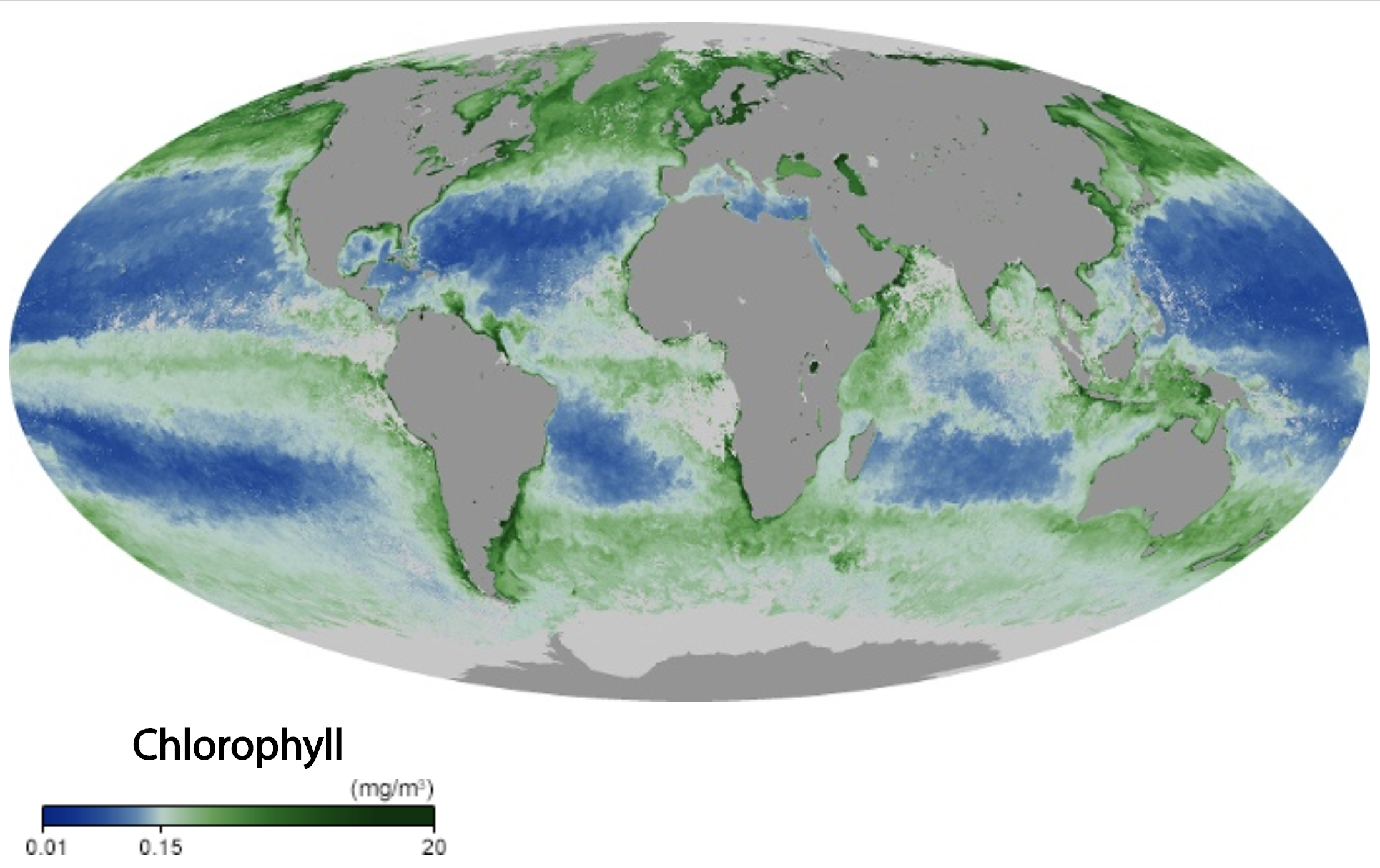 Map showing global marine cholorophyll levels during September 2019.