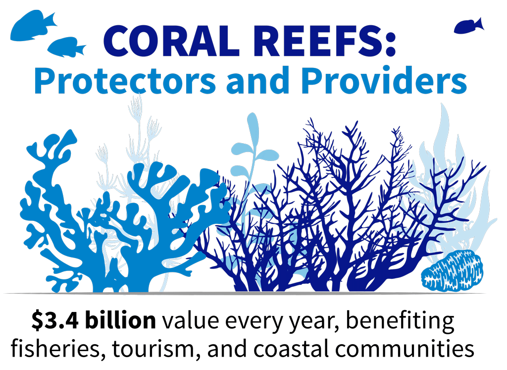 Info graphic that says "coral Reefs: protectors and providers. $3.4 billion value every year, benefiting fisheries, tourism, and coastal communities.