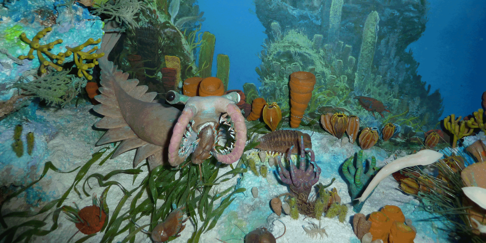 Photograph of a diorama depicting a Cambrian marine ecosystem.