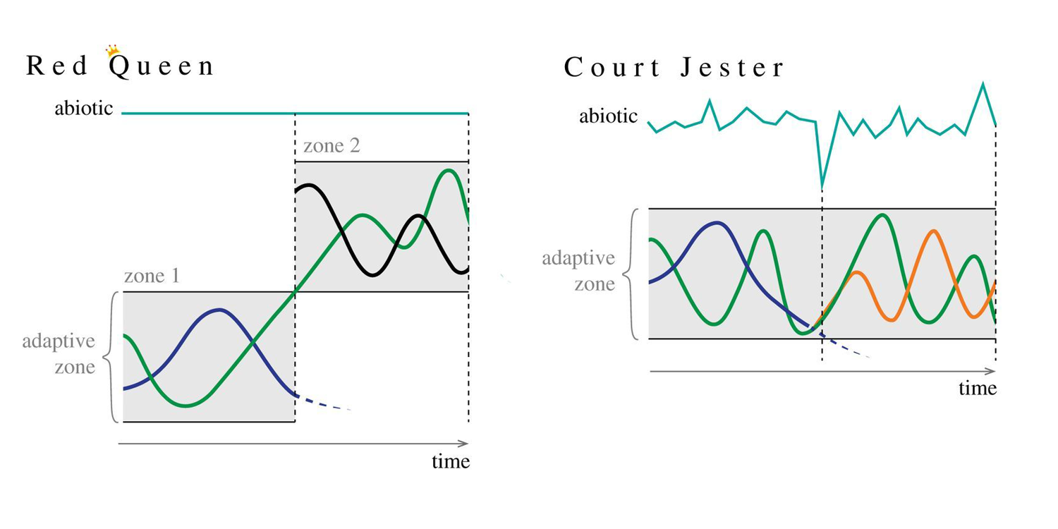 Image shows graphs comparing the Red Queen and Court Jester models of evolution.