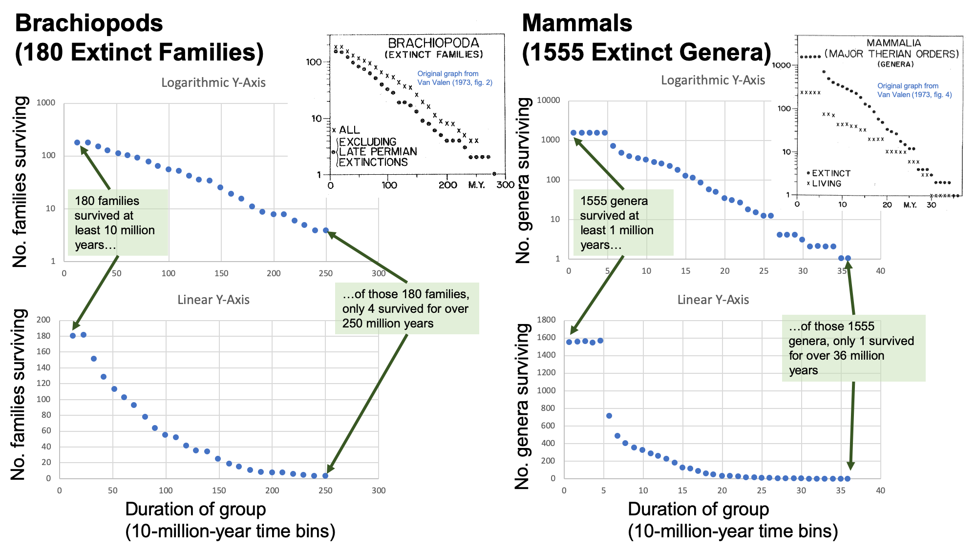 Image showing graphs that compare data derived from Van Valen's 1973 paper, including examples from extinct brachiopod families and extinct genera of mammals.
