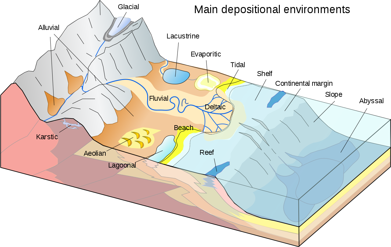 Cartoon of a hypothetical depositional environment.