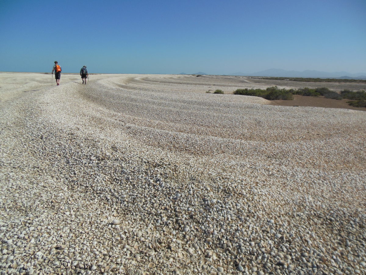 Two people walking across large accumulations of seashells