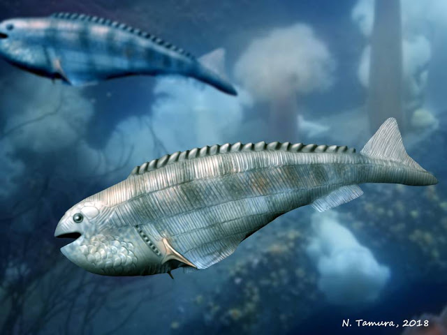 Image showing a reconstruction of the Early Devonian anaspid fish Cowielepis ritchiei.