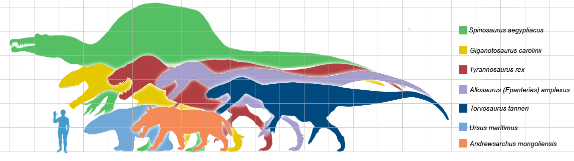 Large vertebrate predators from the fossil record with a human for scale