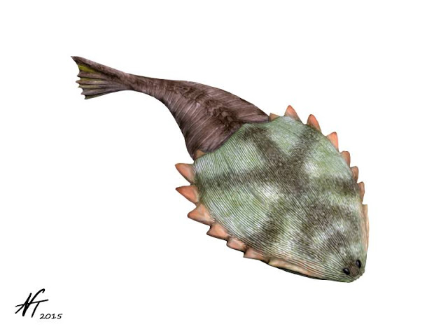 Image showing a reconstruction of the Early Devonian heterostracan Hibernaspis macrolepis.