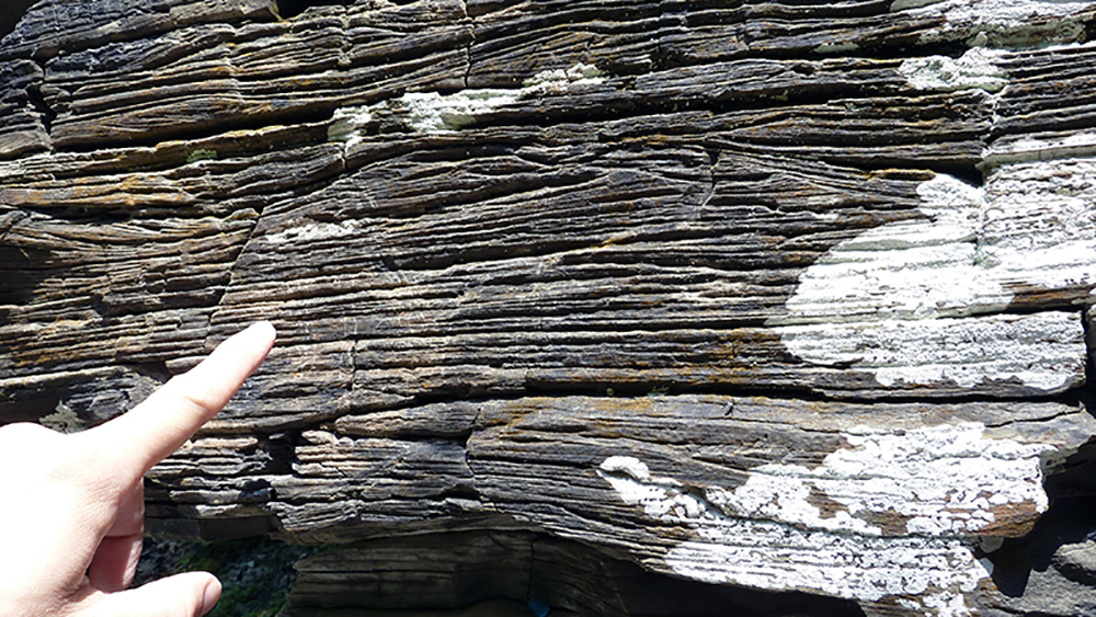 Photograph of sedimentary structures in Devonian rocks in Central New York.