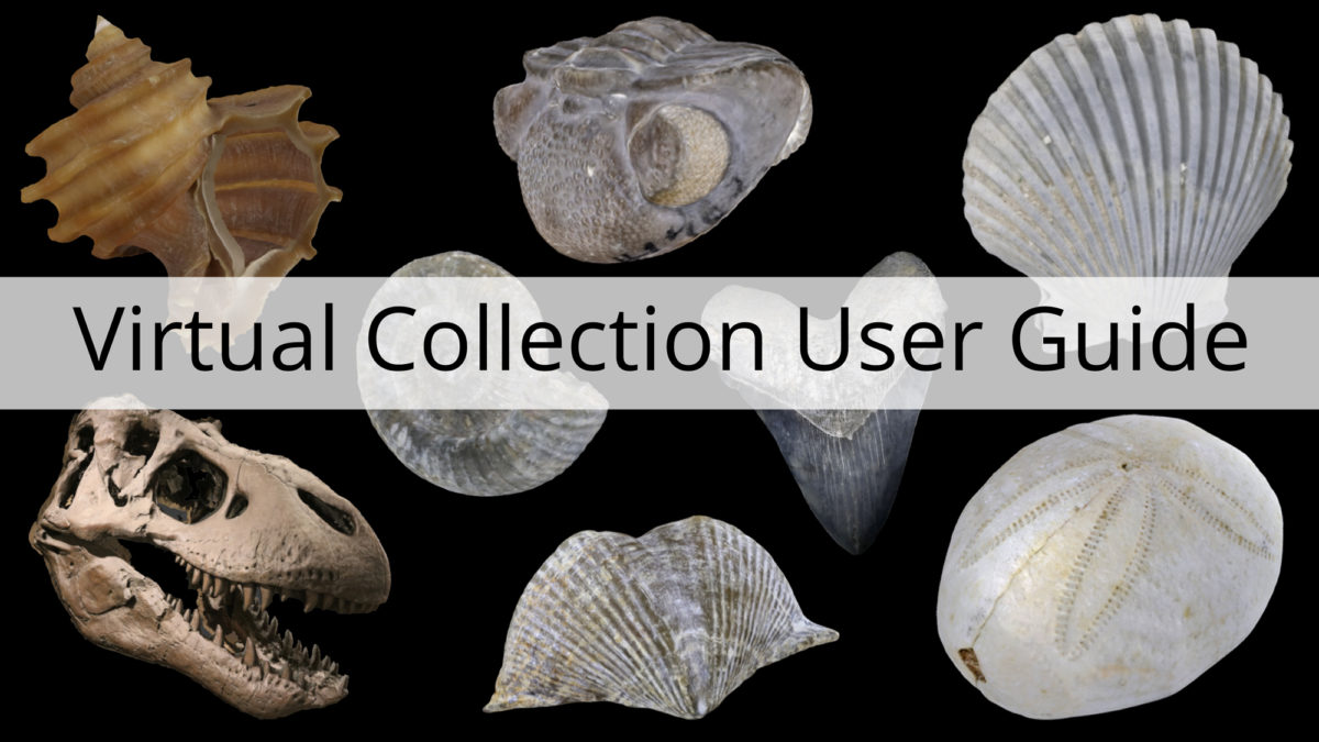 Virtual Collection User Guide