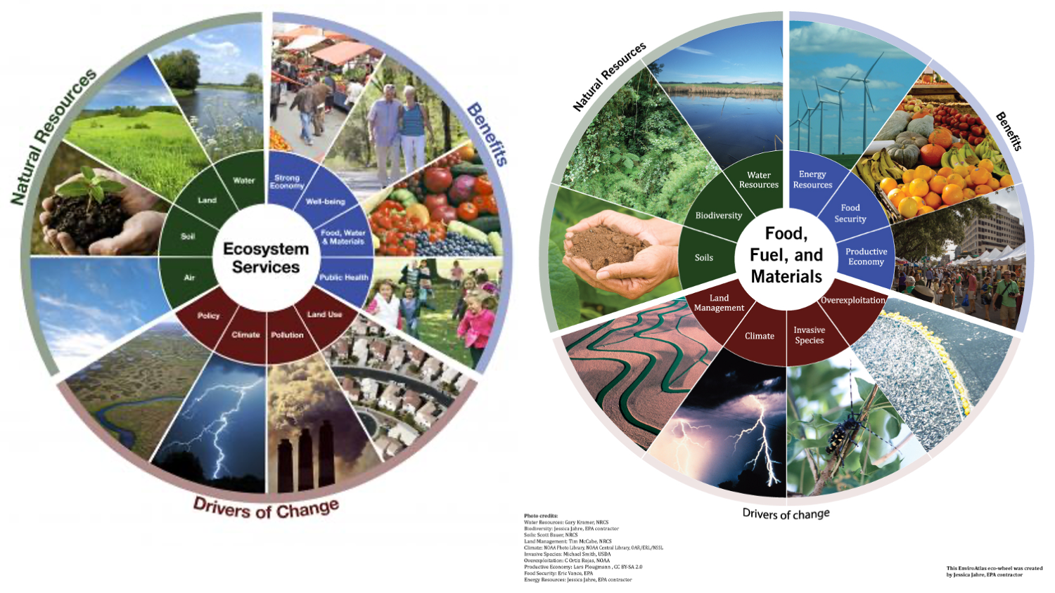 a visualization of the various ecosystem services