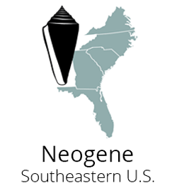 Neogene Atlas of Ancient Life