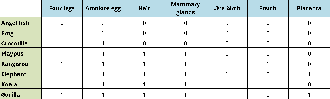 Example of a character matrix with 8 vertebrates and 7 characters.