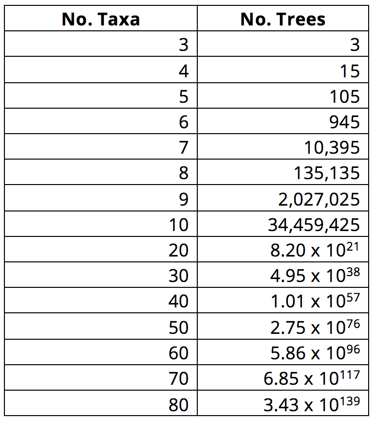 A table that shows how as the number of taxa in an analysis increases, so too does the number of possible tree topologies.