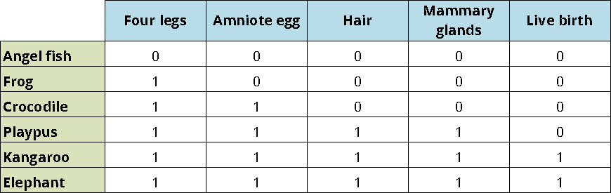 Image shows a phylogenetic character matrix for six species of vertebrates coded for five binary characters. 