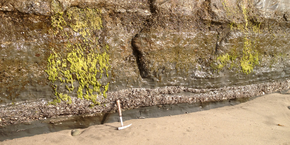 Fossil shell layer of the Purisima Formation exposed at Capitola Beach.