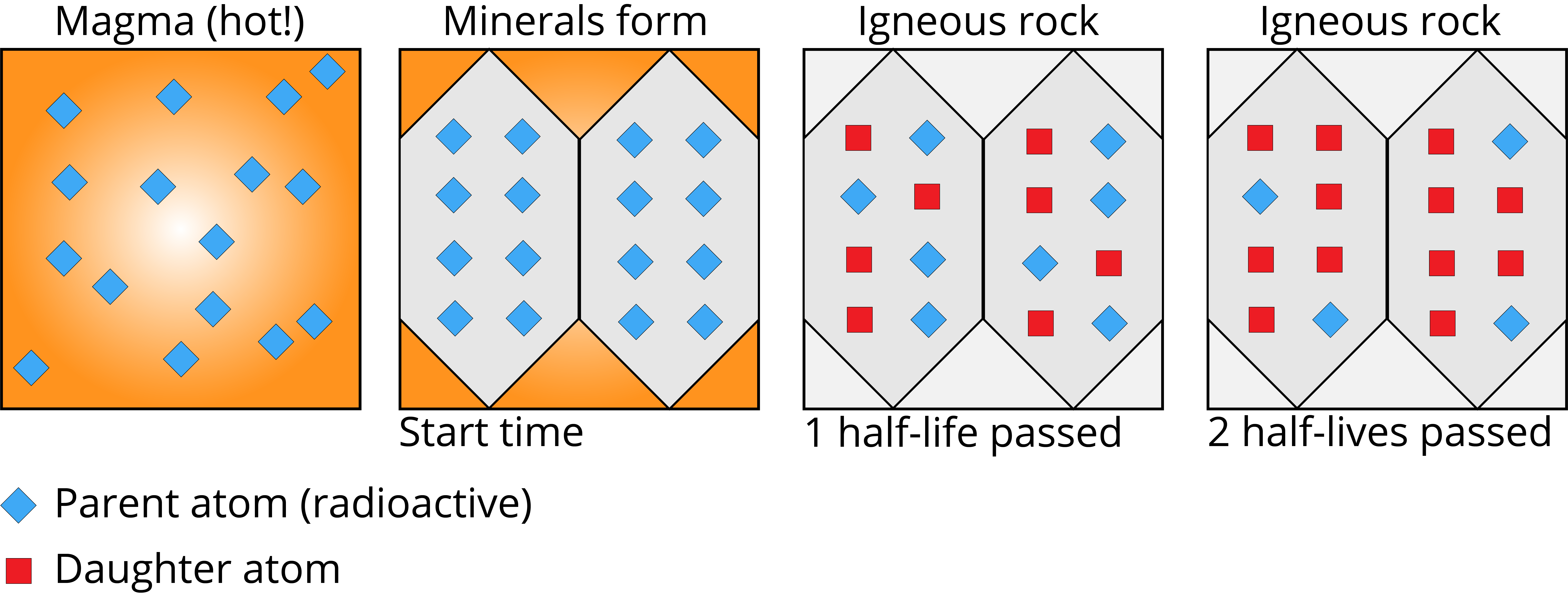 Example of how initial number of radioactive parent atoms decay into daughter products over two half-lives