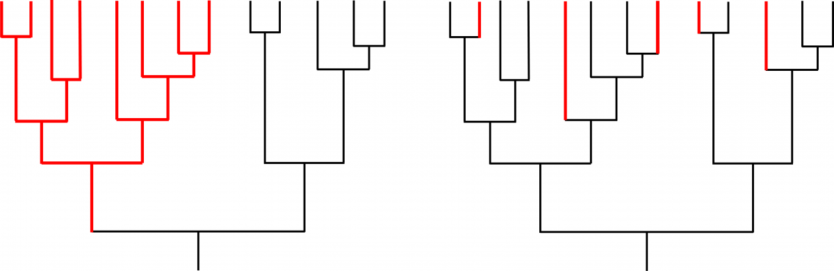 Alternative models of speciation in the context of phylogeny