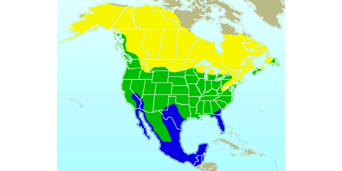 Range map of the American robin