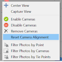 Screenshot showing how to reset the camera alignment.