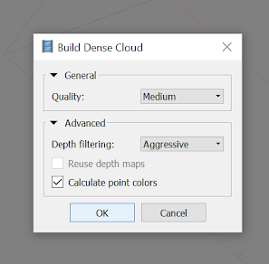 Screenshot of the "Build Dense Cloud" window.