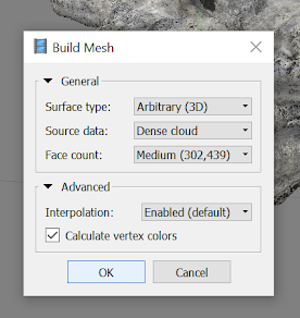 Screenshot showing Build Mesh window.