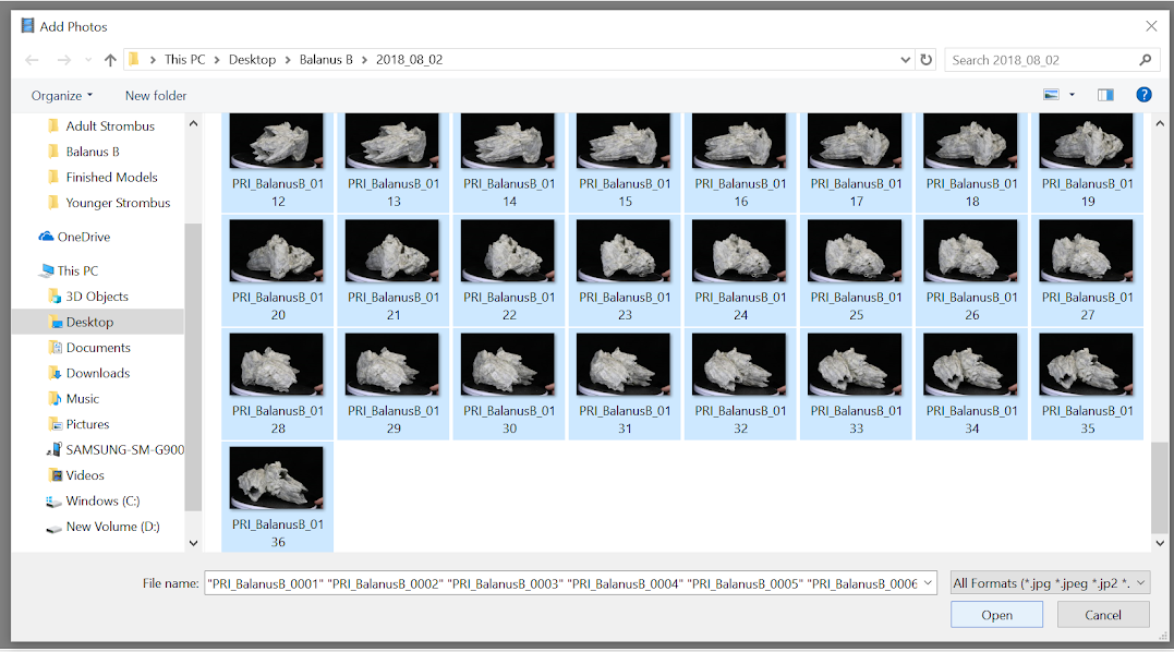 Screenshot of step involving the selection and addition of photographs to the chunk.