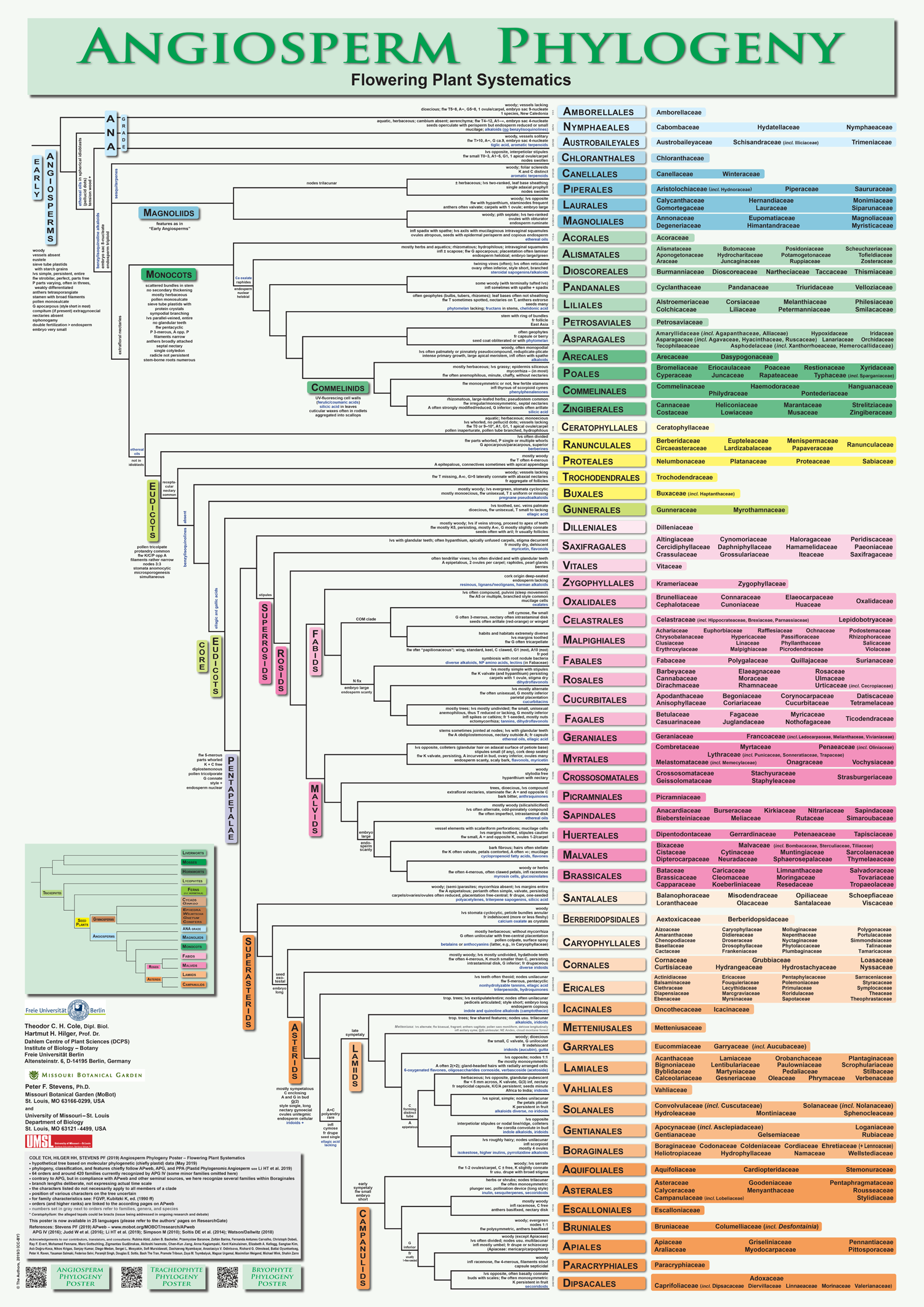 Poster showing tree of angiosperm relationships and classification. See the citation in the figure caption for a downloadable PDF version.