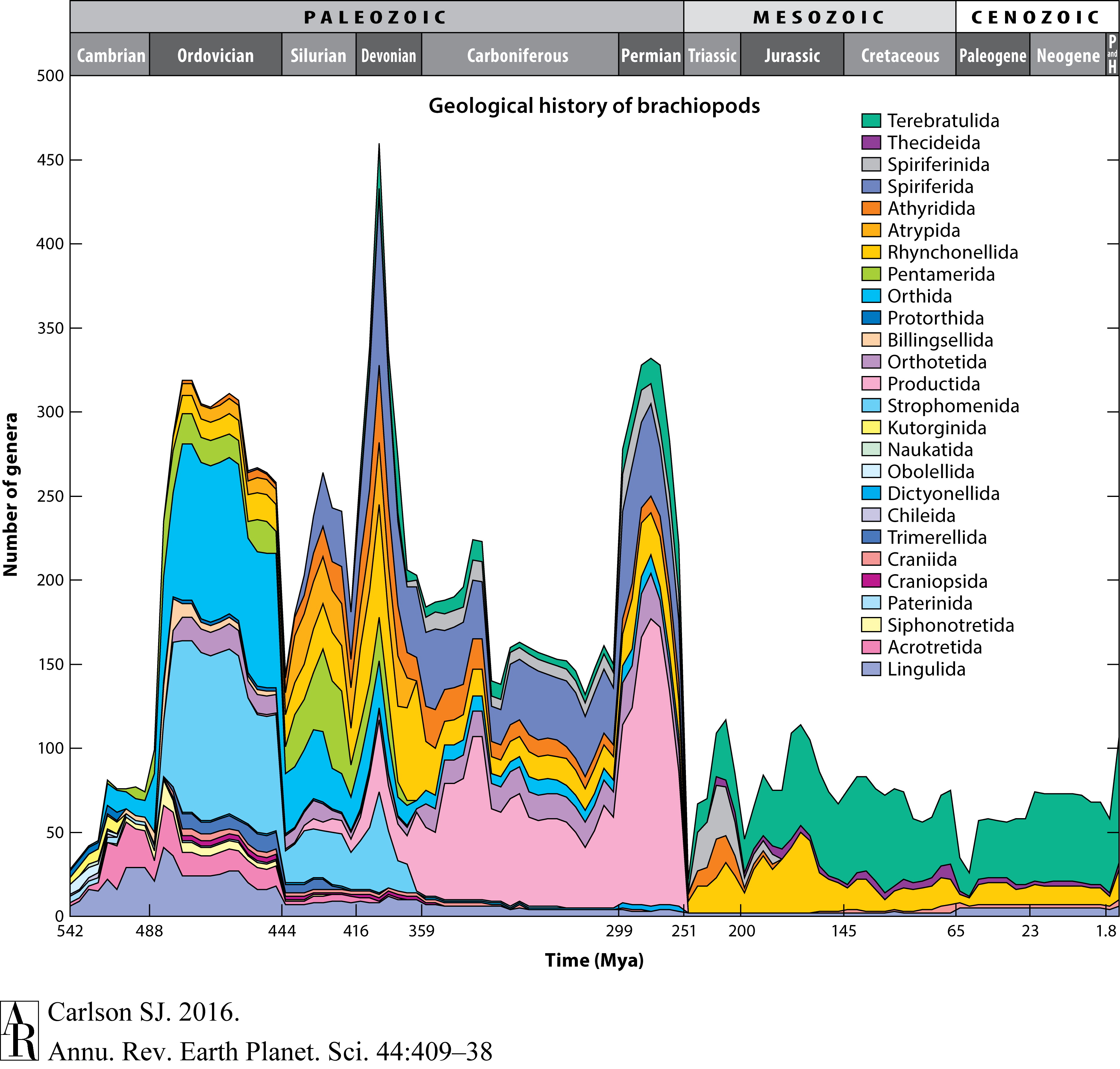 The rise and fall of brachiopod genera diversity over time from the Cambrian to recent.