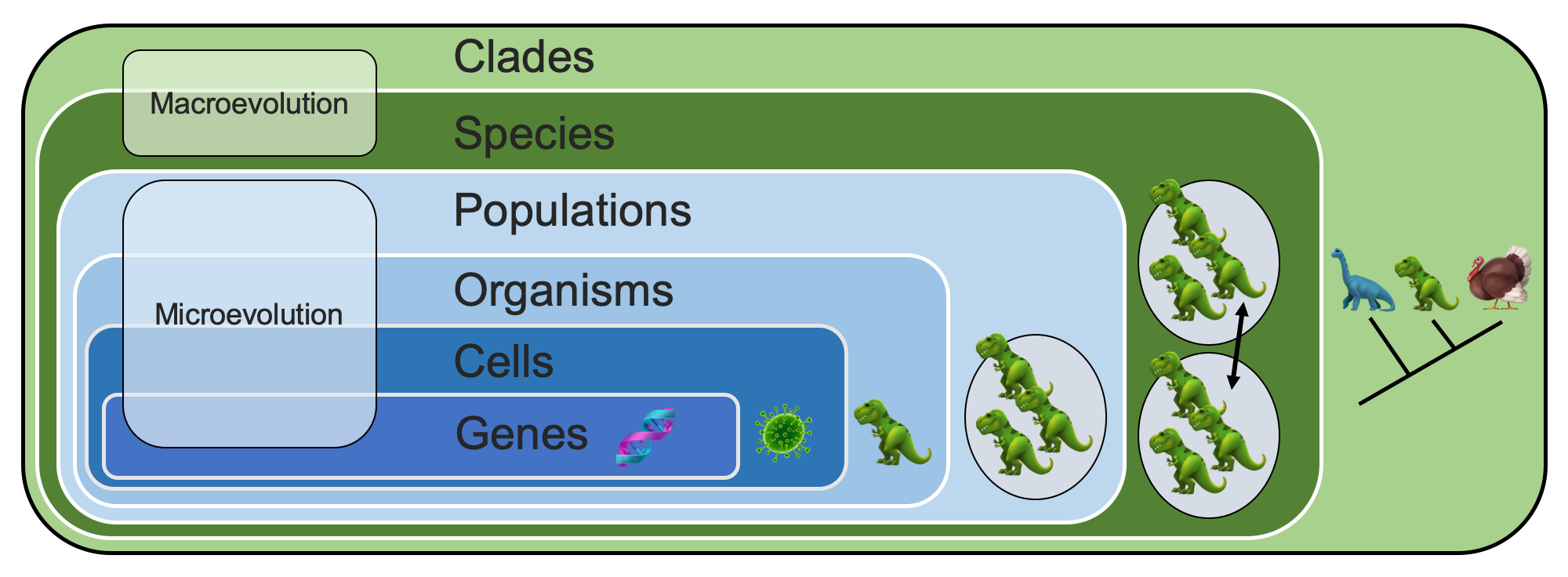 Diagram showing the genealogical hierarchy.